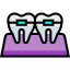 braces